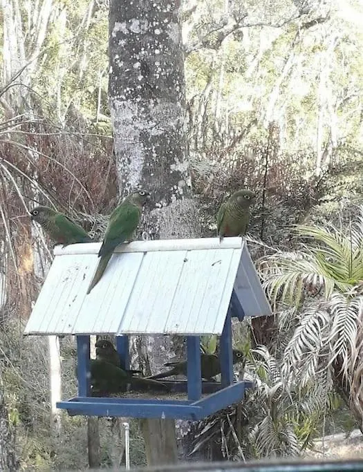 Cabana Aconchegante Na Natureza Rancho Queimado Feriehus