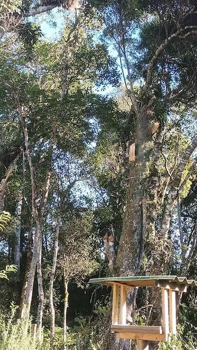 Cabana Aconchegante Na Natureza Rancho Queimado Brasilien