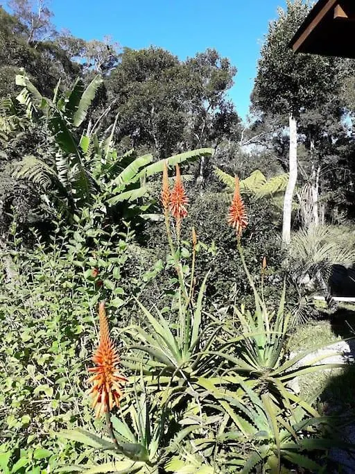 Cabana Aconchegante Na Natureza Rancho Queimado 0*,